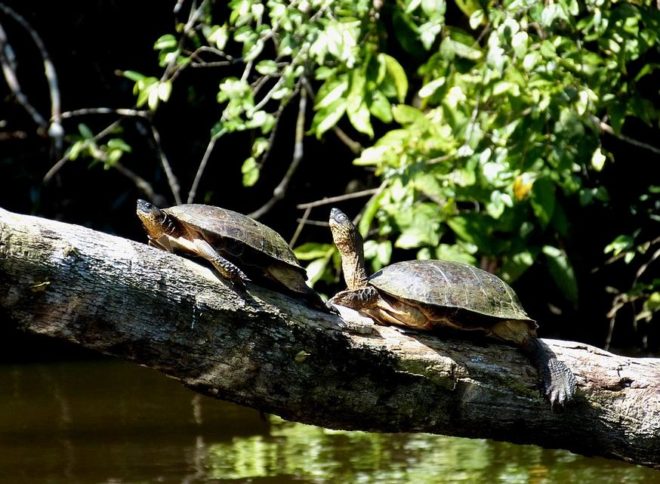 Les activités à privilégier lors d’un séjour au Costa Rica